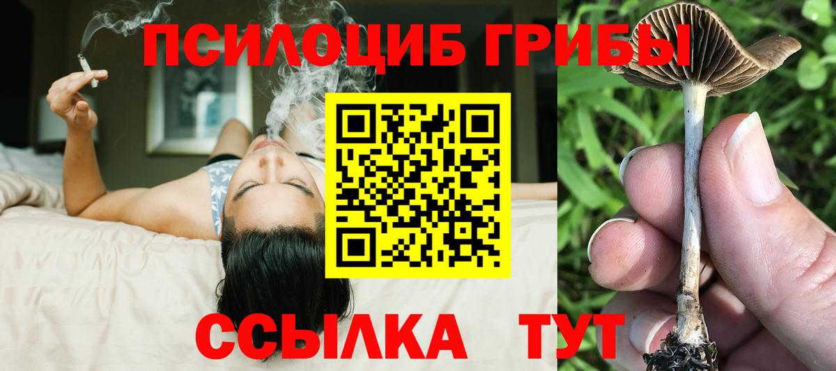 Галлюциногенные грибы Magic Shrooms Волоколамск
