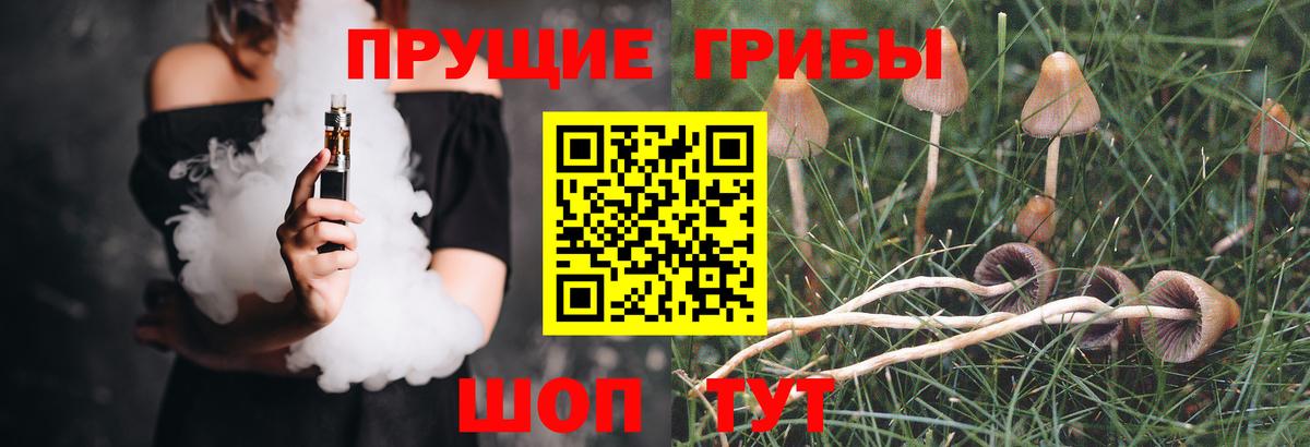 Галлюциногенные грибы MAGIC MUSHROOMS  Галлюциногенные грибы Psilocybe  Волоколамск  Вход с VPN 